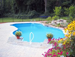 Cardinal Vinyl Liner Pool #014 by Indian Summer Pool and Spa