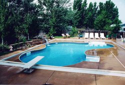 Cardinal Vinyl Liner Pool #031 by Indian Summer Pool and Spa